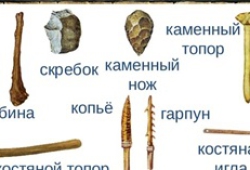 Популярный рассказ об экспонате: какие навыки освоить